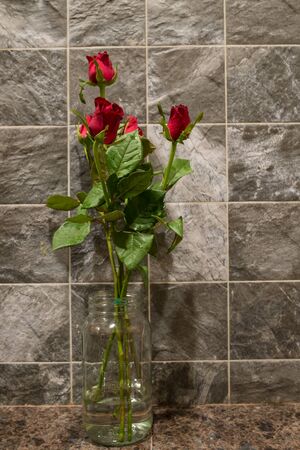 Roses in vase., Valentines day gift.の写真素材