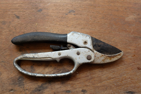 Pruning shears on wooden background.の写真素材