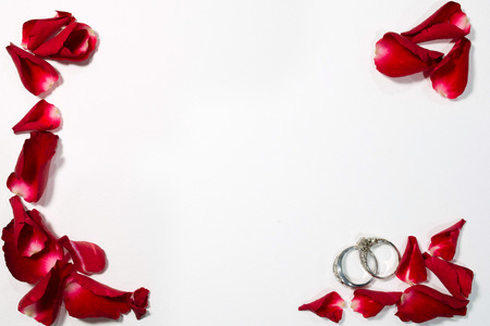 Wedding rings on rose frame, Valentines day background.の写真素材