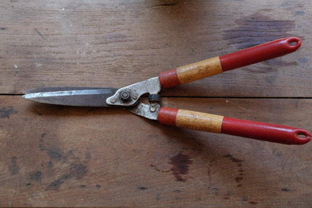 Grass shears on wooden tableの写真素材
