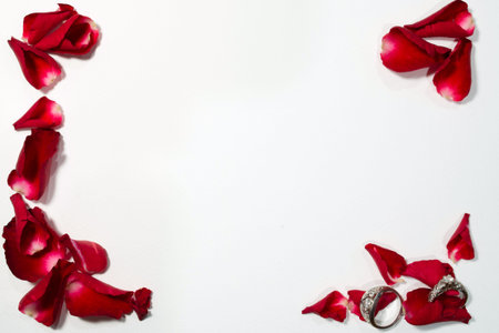Wedding rings on rose frame, Valentines day background.の写真素材