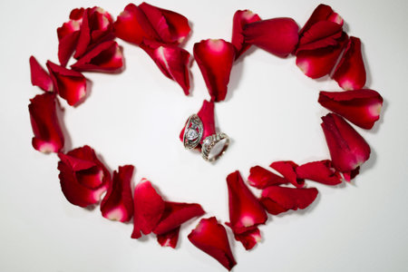 Wedding rings with rose, Valentines day backgroundの写真素材