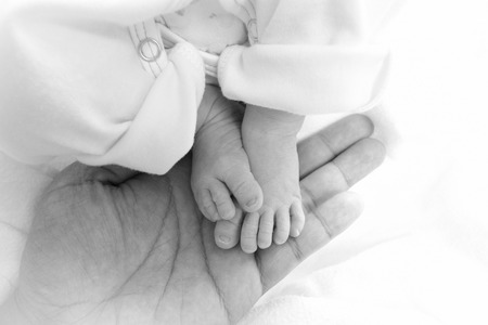 Parent holding in the hands feet of newborn baby.の写真素材