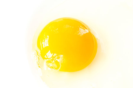 from the raw yolk of fresh eggs
