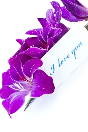 declaration of love against the backdrop of beautiful flowersの写真素材
