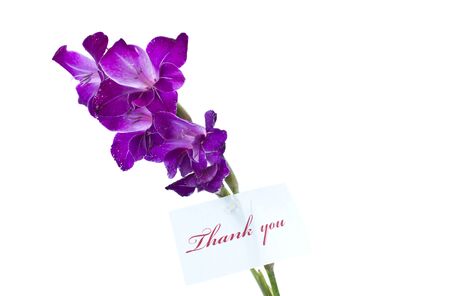 say "thank you" on a background of beautiful flowersの写真素材