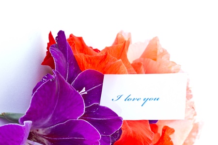 declaration of love against the backdrop of beautiful flowersの写真素材