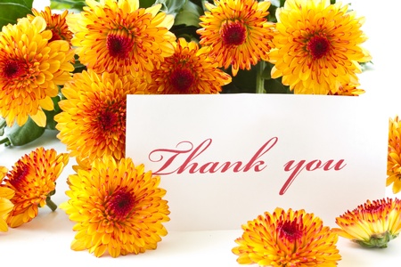 "thank you" on a background of orange chrysanthemumsの写真素材