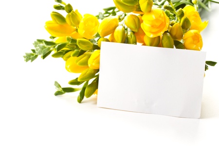 a bouquet of beautiful flowers on a white backgroundの写真素材