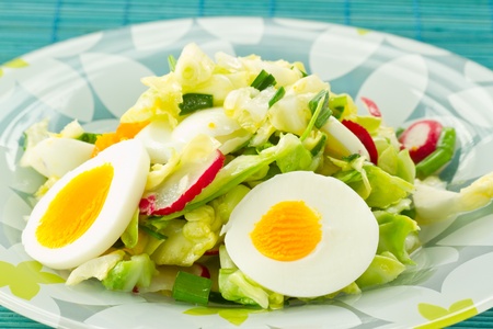 Spring salad of cabbage and radishesの写真素材