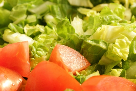 fresh salad with cabbage and tomatoesの写真素材