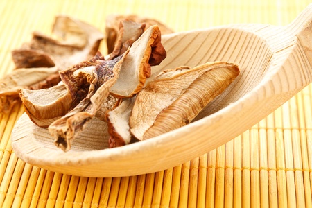 Boletus dried on wooden spoonの写真素材