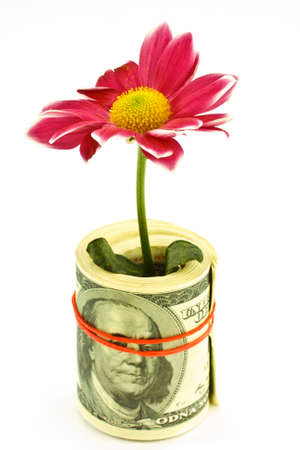 flower and money isolated on white backgroundの写真素材