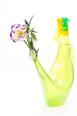 watering the flowers in a white backgroundの写真素材