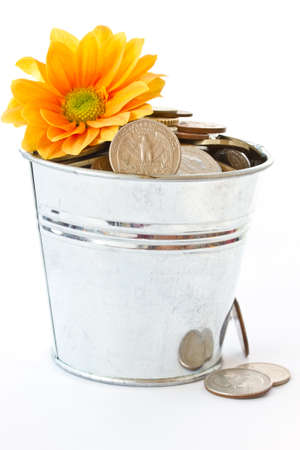 bucket full of coins and a yellow chrysanthemumの写真素材