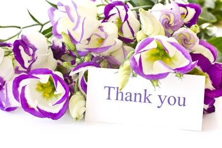 Lisianthus beautiful flowers on a white backgroundの写真素材