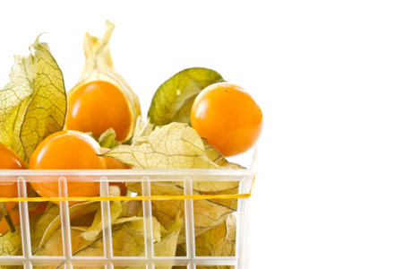 physalis yellow ripe berries on a white backgroundの写真素材