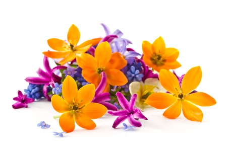 beautiful bouquet of spring flowers on a white background beautiful bouquet of spring flowers on a white background