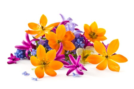 beautiful bouquet of spring flowers on a white backgroundの写真素材