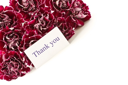 beautiful bouquet of red carnations on a white backgroundの写真素材