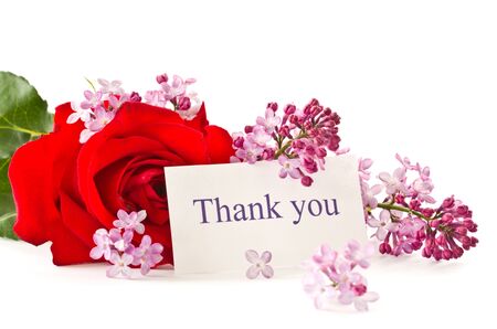 beautiful red rose with lilac flowers on a white backgroundの写真素材