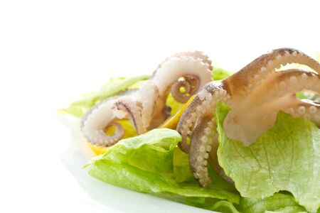 salad with boiled octopus on a plate on a white backgroundの写真素材