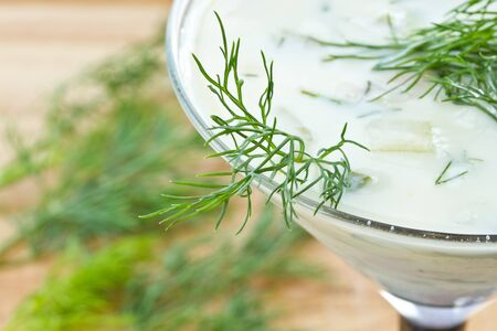 Traditional Bulgarian cold soup with vegetables taratorの写真素材