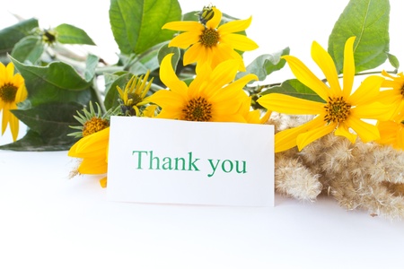 autumn beautiful yellow daisies on a white backgroundの写真素材