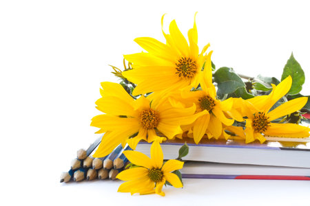 Autumn flowers with book and pencils on a white backgroundの写真素材