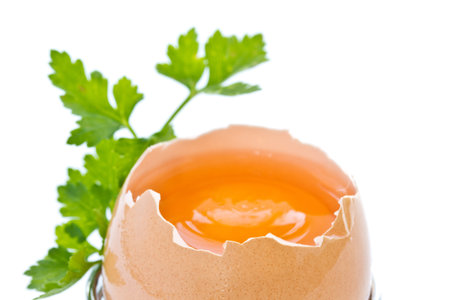 egg yolk in the shell on a white background