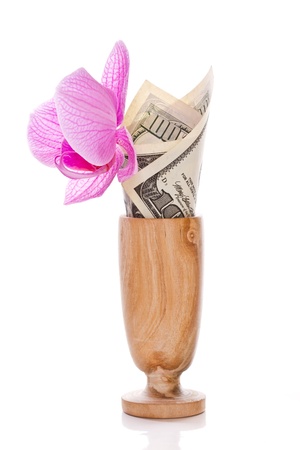 dollars with a miniature Phalaenopsis flower vase on a white backgroundの写真素材