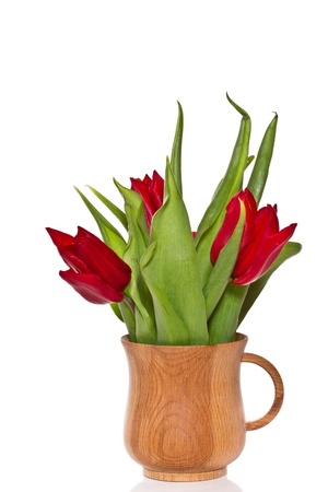 beautiful fresh red tulips on a white backgroundの写真素材