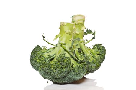 large green broccoli on a white backgroundの写真素材