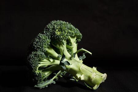 large green broccoli on a black backgroundの写真素材