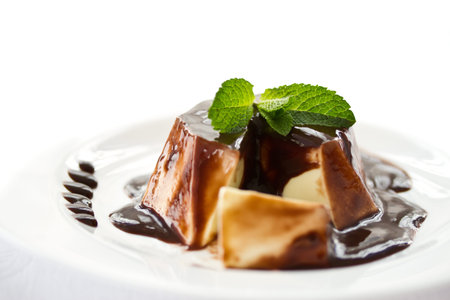 sweet milk dessert with chocolate sauce and mint
