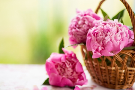 bouquet of pink peonies in a basket on the tableの写真素材