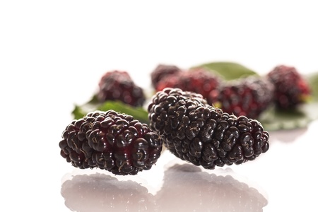 ripe black mulberries on a white backgroundの写真素材