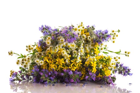 beautiful bouquet of summer flowers on a white backgroundの写真素材