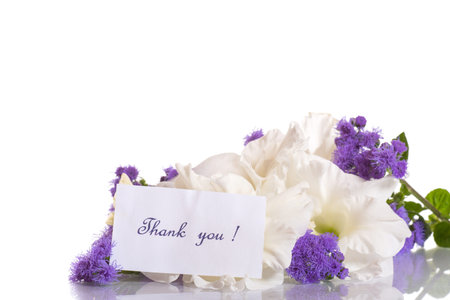 beautiful white gladiolus on a white background