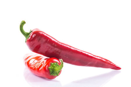 Two red chili peppers isolated on the whiteの写真素材