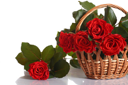 beautiful red roses in a basket on a white backgroundの写真素材