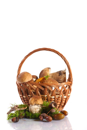 basket full of mushrooms on a white backgroundの写真素材