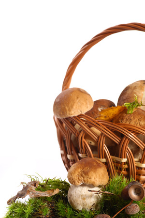 basket full of mushrooms on a white backgroundの写真素材