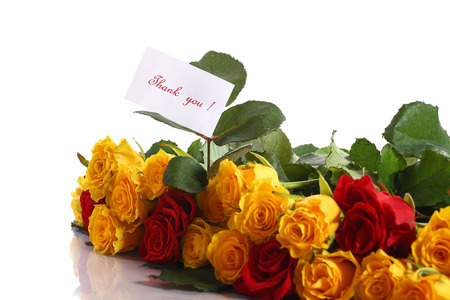 yellow and red roses on a white backgroundの写真素材