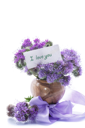 bouquet of blue flowers on a white background phaceliaの写真素材
