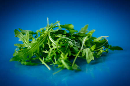 natural fresh arugula on a blue backgroundの写真素材
