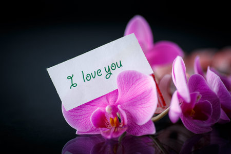 Phalaenopsis line with a declaration of love on a black の写真素材