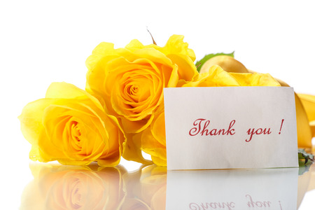 Beautiful yellow rose on a white backgroundの写真素材
