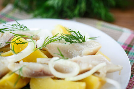 salted herring with boiled potatoes and dill on a plateの写真素材