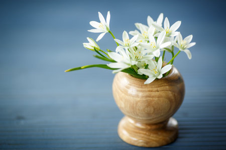 beautiful bouquet of white flowers on a wooden table